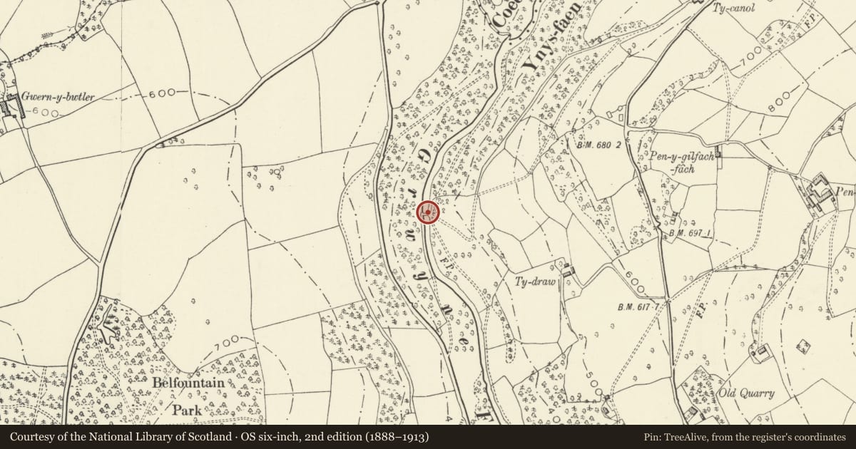 Ordnance Survey six-inch map, 2nd edition (1888–1913) covering the location of Packhorse Bridge, The Vale of Grwyney, Powys, with a pin at the register's coordinates