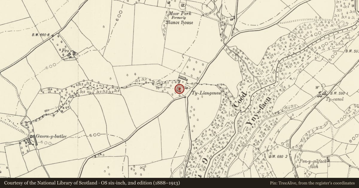 Ordnance Survey six-inch map, 2nd edition (1888–1913) covering the location of Ty Llangenny, The Vale of Grwyney, Powys, with a pin at the register's coordinates