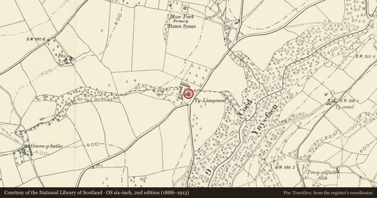 Ordnance Survey six-inch map, 2nd edition (1888–1913) covering the location of Byre and Cart Shed at Ty Llangenny, The Vale of Grwyney, Powys, with a pin at the register's coordinates