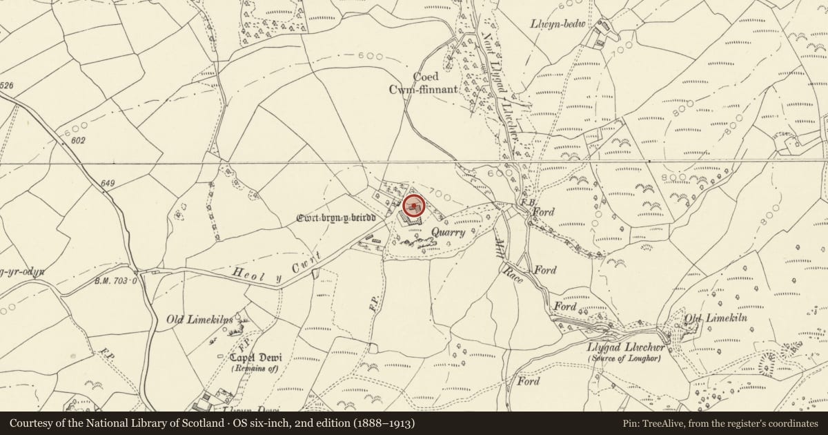 Ordnance Survey six-inch map, 2nd edition (1888–1913) covering the location of Farm buildings on NE angle of yard at Cwrt Bryn y Beirdd, Dyffryn Cennen, Carmarthenshire, with a pin at the register's coordinates