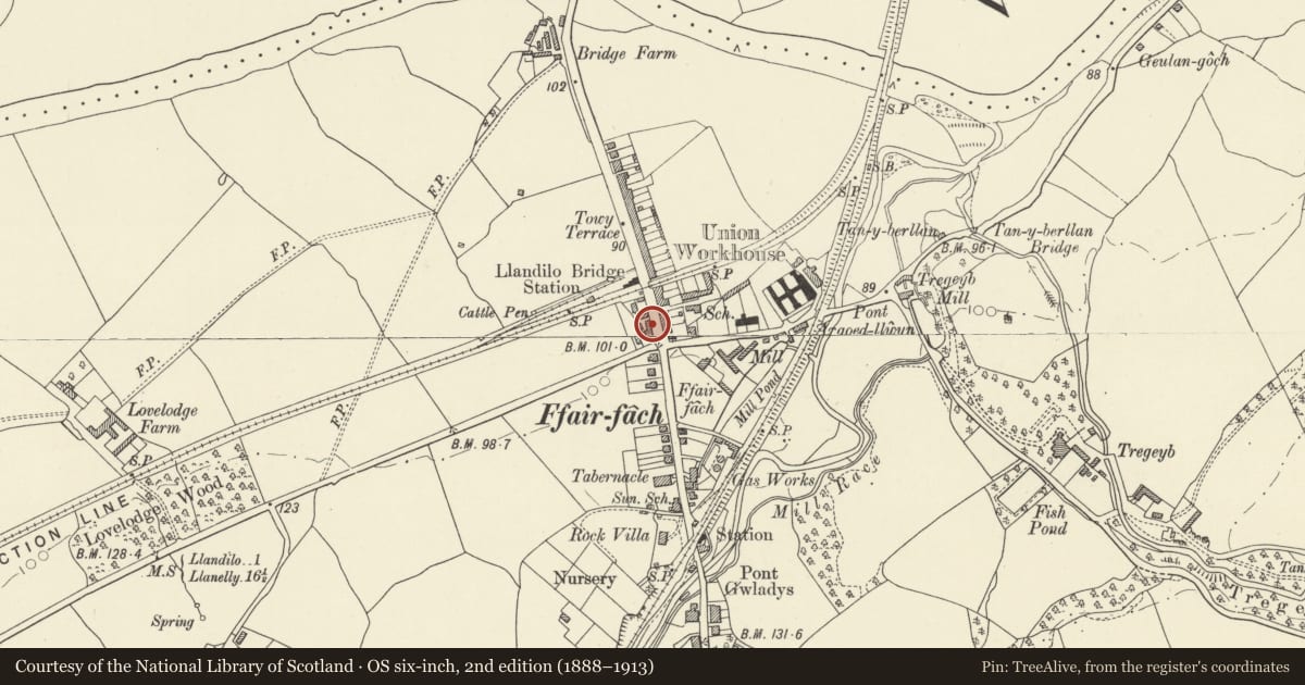 Ordnance Survey six-inch map, 2nd edition (1888–1913) covering the location of Tregib Arms, Cyngor Bro Dyffryn Cennen, Carmarthenshire, with a pin at the register's coordinates