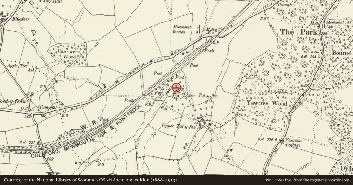 Ordnance Survey six-inch map, 2nd edition (1888–1913) covering the location of Lower Tal-y-fan, Mitchel Troy, Monmouthshire, with a pin at the register's coordinates