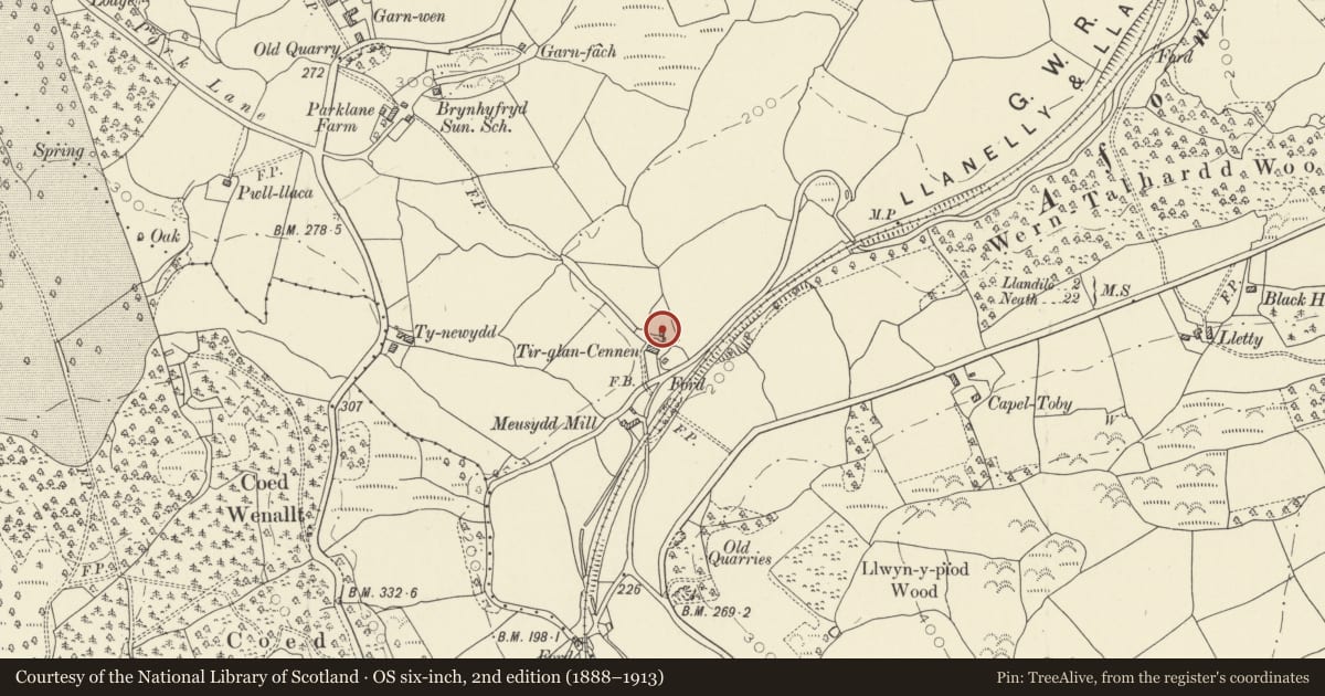 Ordnance Survey six-inch map, 2nd edition (1888–1913) covering the location of Tir Glan Cennen, Cyngor Bro Dyffryn Cennen, Carmarthenshire, with a pin at the register's coordinates