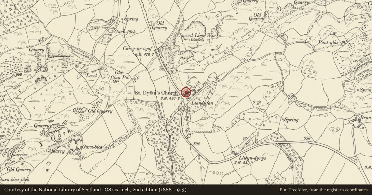Ordnance Survey six-inch map, 2nd edition (1888–1913) covering the location of Baptistery in Llandyfan churchyard, Cyngor Bro Dyffryn Cennen, Carmarthenshire, with a pin at the register's coordinates