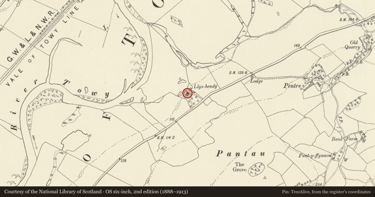 Ordnance Survey six-inch map, 2nd edition (1888–1913) covering the location of Llyshendy, Cyngor Bro Dyffryn Cennen, Carmarthenshire, with a pin at the register's coordinates