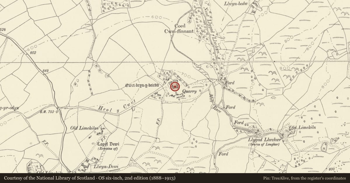 Ordnance Survey six-inch map, 2nd edition (1888–1913) covering the location of Outbuilding on S side of yard at Cwrt Bryn y Beirdd, Dyffryn Cennen, Carmarthenshire, with a pin at the register's coordinates