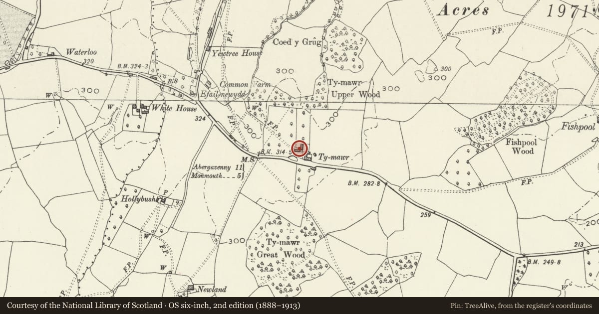 Ordnance Survey six-inch map, 2nd edition (1888–1913) covering the location of Ty Mawr, with attached outbuilding, Mitchel Troy, Monmouthshire, with a pin at the register's coordinates