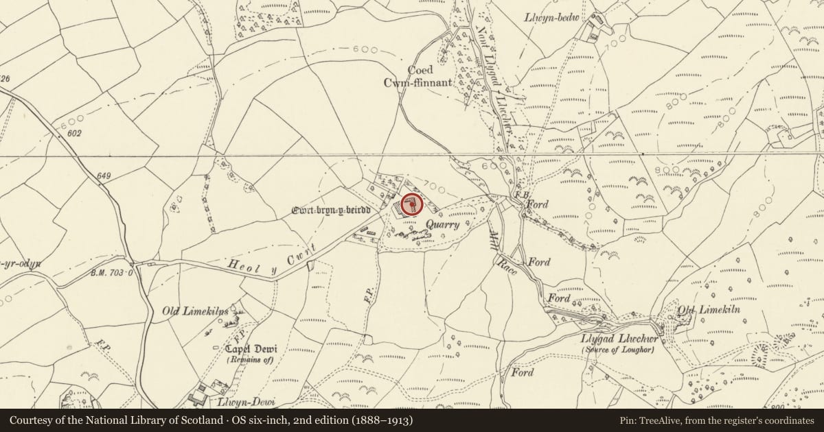 Ordnance Survey six-inch map, 2nd edition (1888–1913) covering the location of Outbuilding on E side of yard at Cwrt Bryn y Beirdd, Dyffryn Cennen, Carmarthenshire, with a pin at the register's coordinates