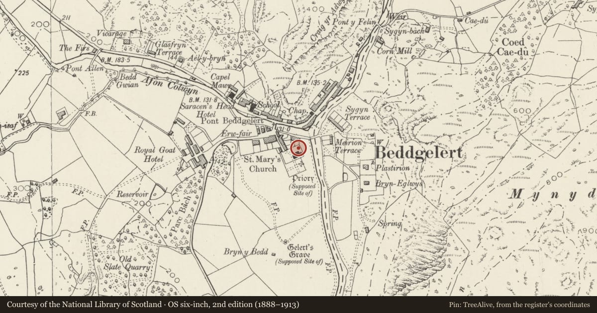 Ordnance Survey six-inch map, 2nd edition (1888–1913) covering the location of Group of Three Railed Tombs in the churchyard of St Mary's Church, Beddgelert, Gwynedd, with a pin at the register's coordinates