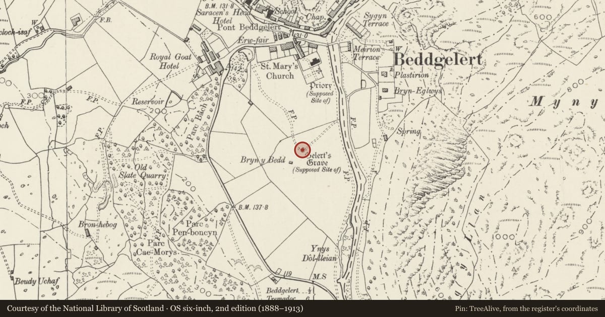 Ordnance Survey six-inch map, 2nd edition (1888–1913) covering the location of Gelert's Grave, Beddgelert, Gwynedd, with a pin at the register's coordinates