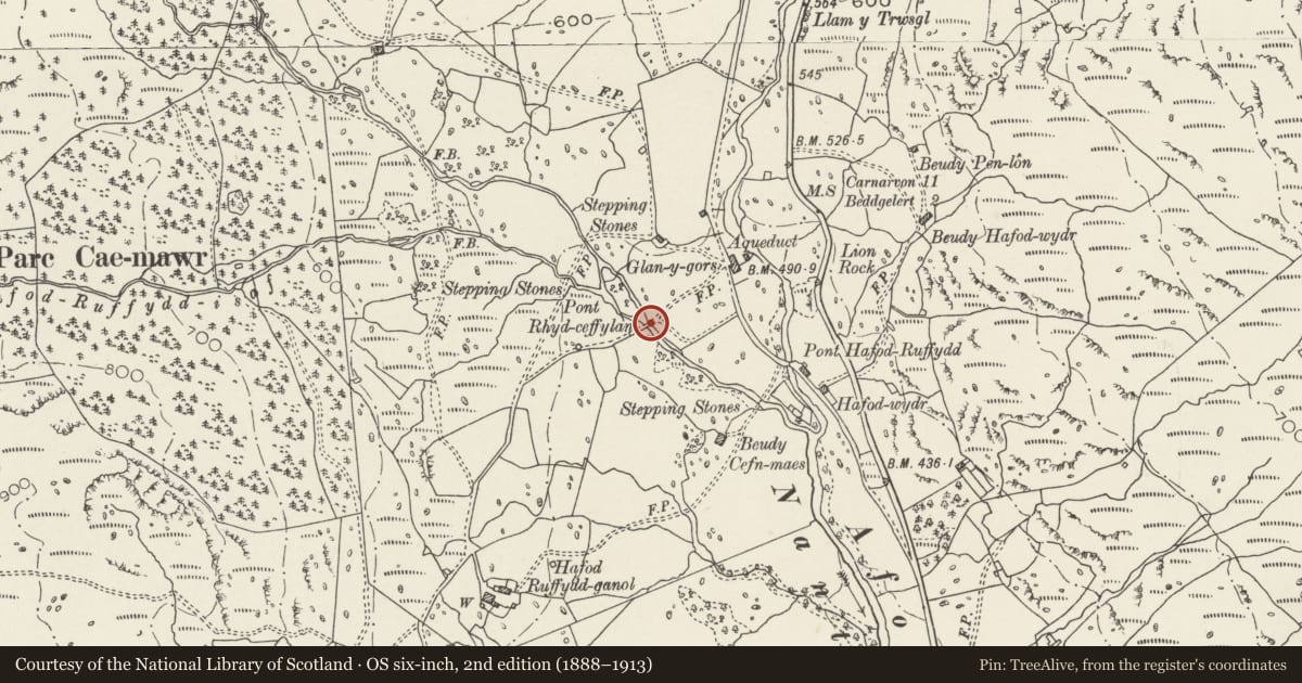 Ordnance Survey six-inch map, 2nd edition (1888–1913) covering the location of Pont Rhyd-ceffylau, Beddgelert, Gwynedd, with a pin at the register's coordinates