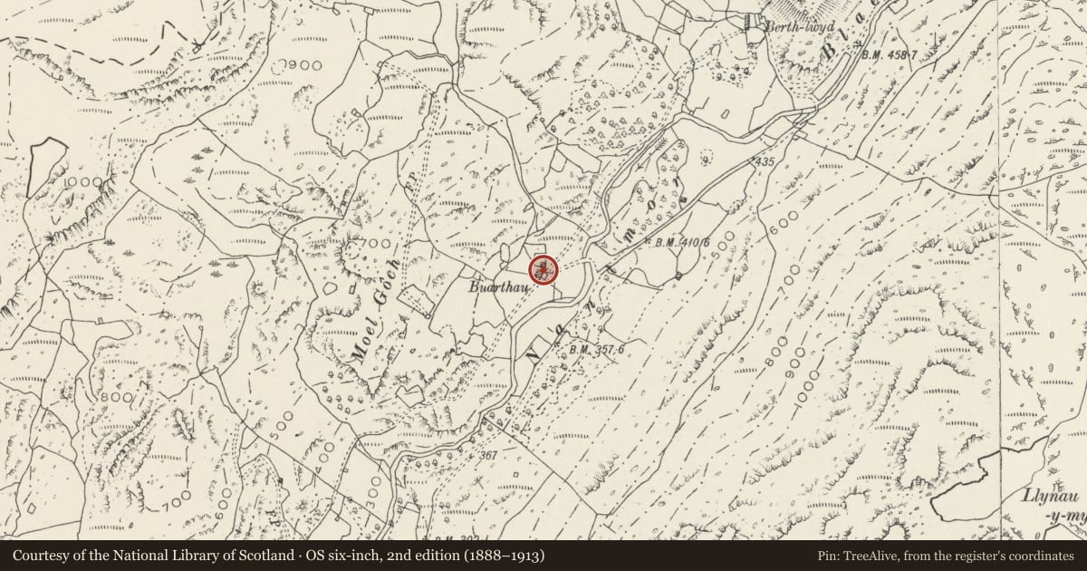 Ordnance Survey six-inch map, 2nd edition (1888–1913) covering the location of Buarthau, Beddgelert, Gwynedd, with a pin at the register's coordinates