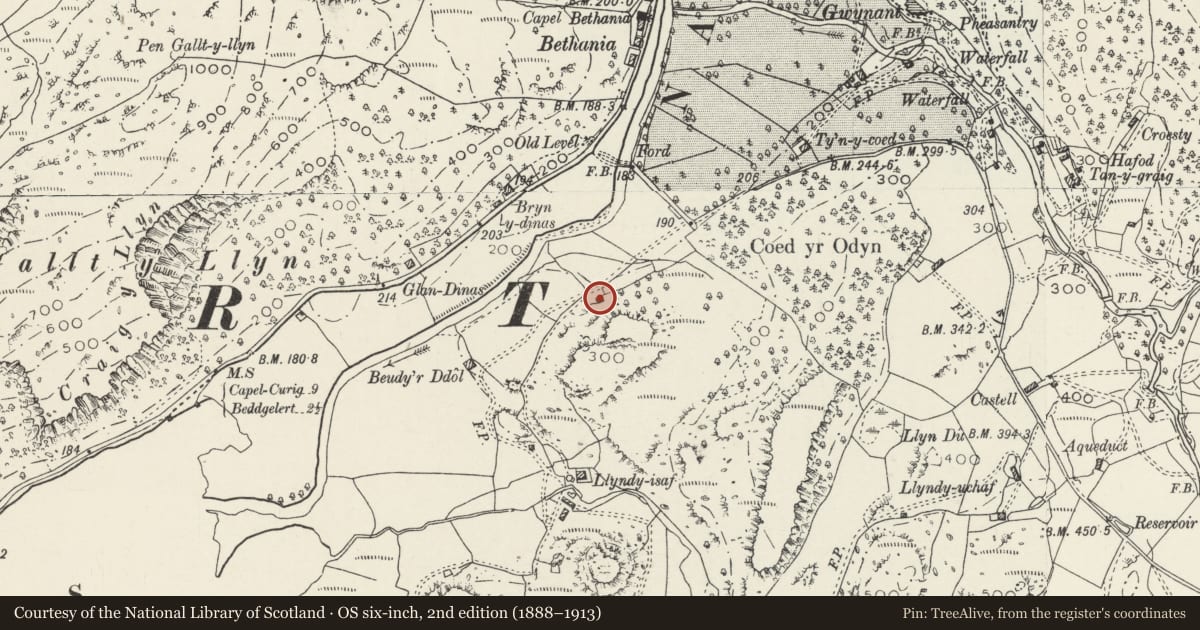 Ordnance Survey six-inch map, 2nd edition (1888–1913) covering the location of Field Cowhouse NE of Llyndy Isaf, Beddgelert, Gwynedd, with a pin at the register's coordinates