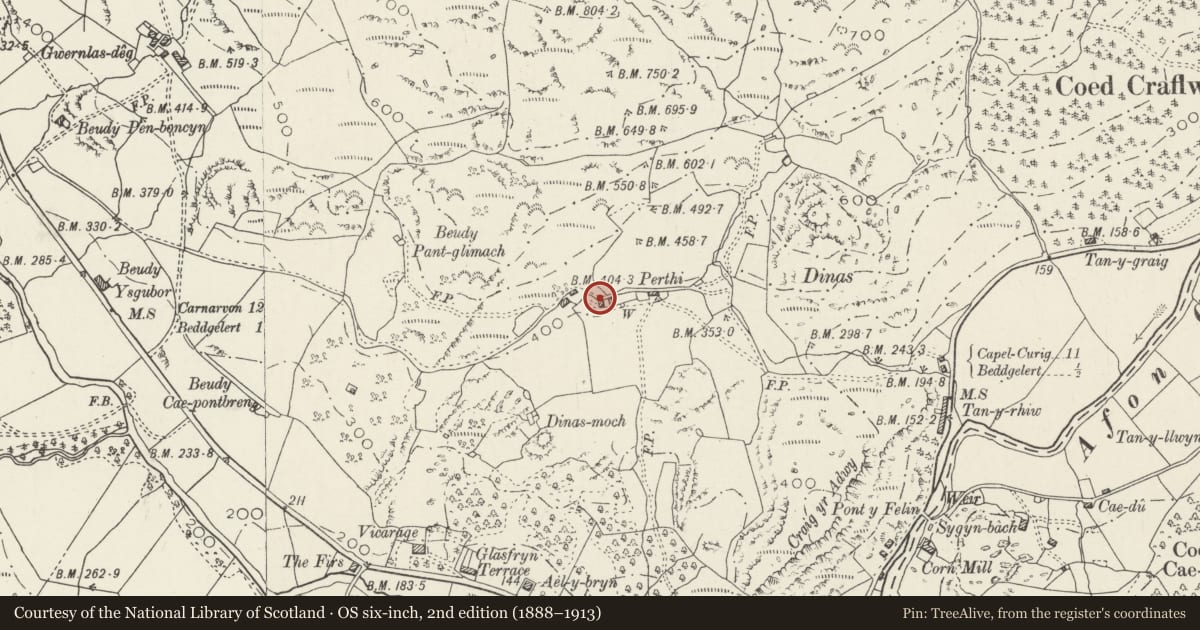 Ordnance Survey six-inch map, 2nd edition (1888–1913) covering the location of Field Cowhouse W of Perthi, Beddgelert, Gwynedd, with a pin at the register's coordinates