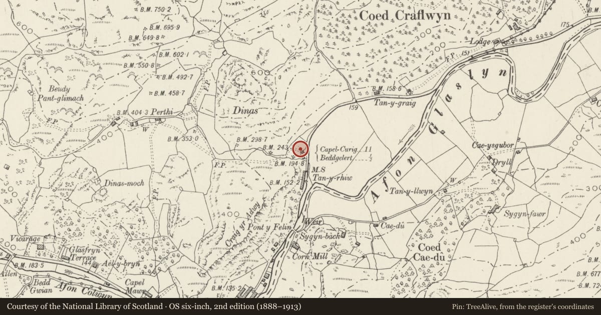 Ordnance Survey six-inch map, 2nd edition (1888–1913) covering the location of Field Cowhouse at Tan-y-Rhiw-Newydd, Beddgelert, Gwynedd, with a pin at the register's coordinates