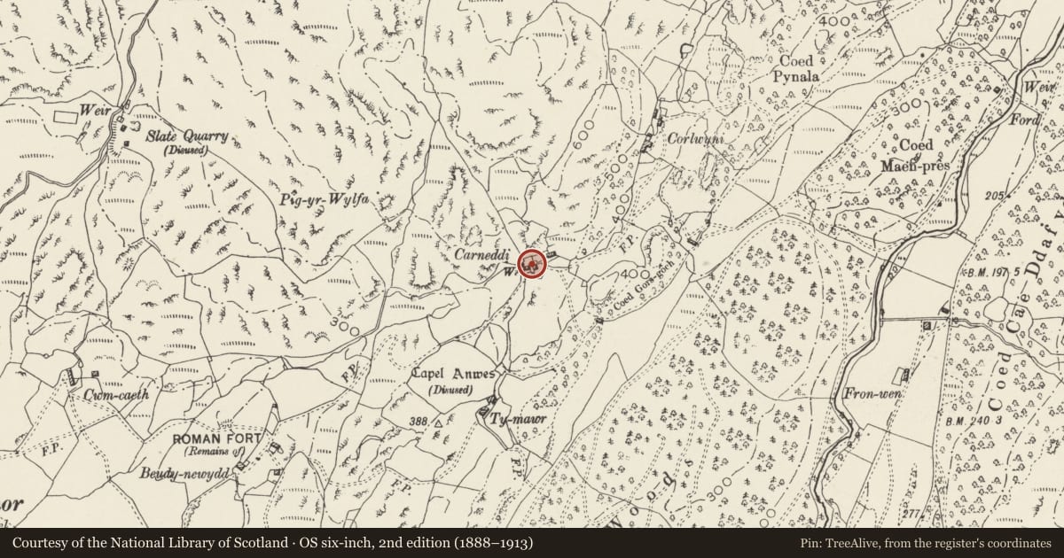 Ordnance Survey six-inch map, 2nd edition (1888–1913) covering the location of Field Cowhouse at Garneddi, Beddgelert, Gwynedd, with a pin at the register's coordinates
