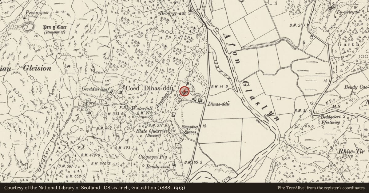 Ordnance Survey six-inch map, 2nd edition (1888–1913) covering the location of Dinas Ddu, Beddgelert, Gwynedd, with a pin at the register's coordinates
