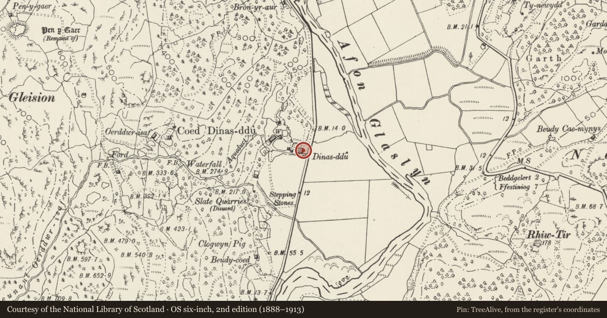 Ordnance Survey six-inch map, 2nd edition (1888–1913) covering the location of U-shaped Agricultural Range E of Dinas Ddu, Beddgelert, Gwynedd, with a pin at the register's coordinates