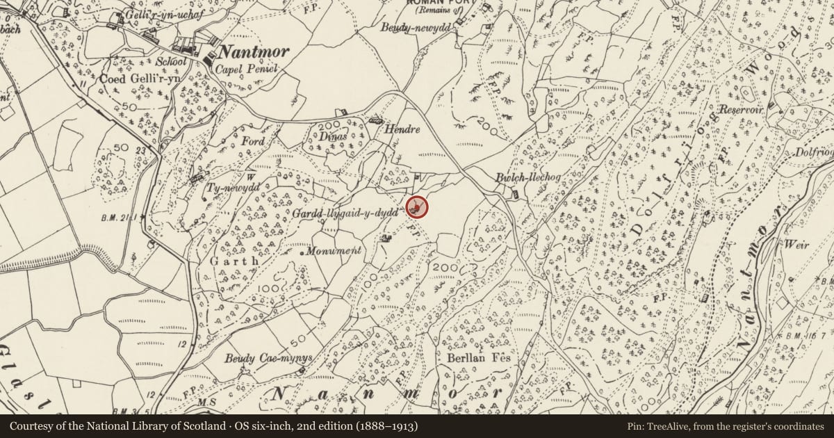 Ordnance Survey six-inch map, 2nd edition (1888–1913) covering the location of Cowhouse and Cottage Complex at Gardd-Llygaid-y-Dydd, Beddgelert, Gwynedd, with a pin at the register's coordinates