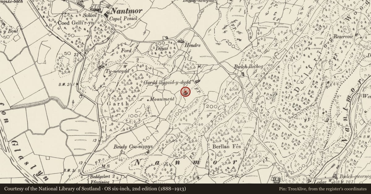 Ordnance Survey six-inch map, 2nd edition (1888–1913) covering the location of T-shaped Field Cowhouse at Gardd-y-Llygaid-y-Dydd, Beddgelert, Gwynedd, with a pin at the register's coordinates