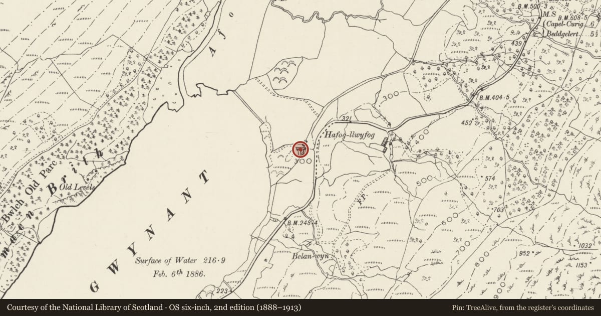 Ordnance Survey six-inch map, 2nd edition (1888–1913) covering the location of Agricultural Range W of Hafod Lwyfog, Beddgelert, Gwynedd, with a pin at the register's coordinates