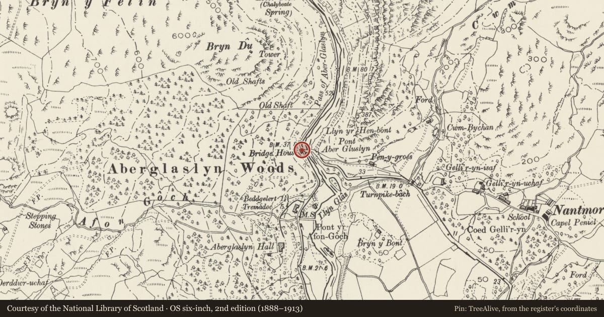 Ordnance Survey six-inch map, 2nd edition (1888–1913) covering the location of Bridge House (aka Ty Bont), Beddgelert, Gwynedd, with a pin at the register's coordinates