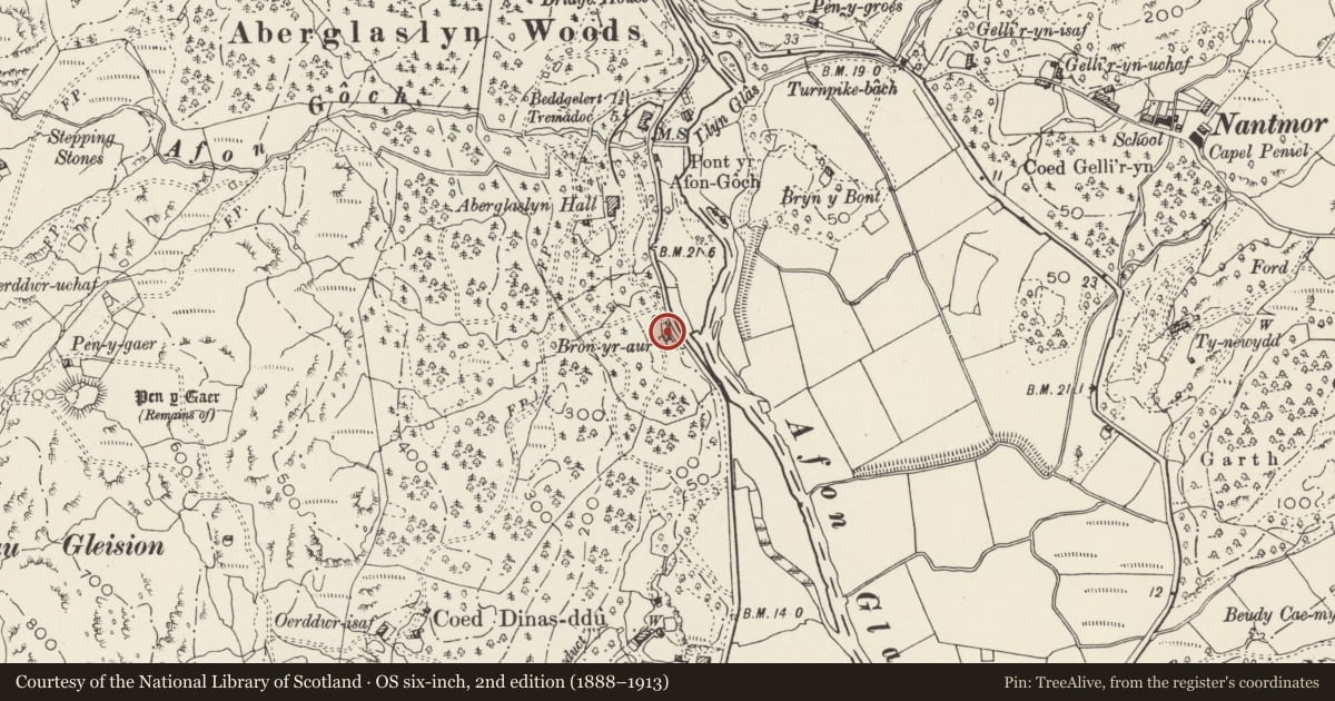 Ordnance Survey six-inch map, 2nd edition (1888–1913) covering the location of Bron-yr-Aur, Beddgelert, Gwynedd, with a pin at the register's coordinates