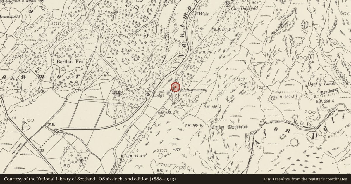 Ordnance Survey six-inch map, 2nd edition (1888–1913) covering the location of Bwlch Gwernog, Beddgelert, Gwynedd, with a pin at the register's coordinates