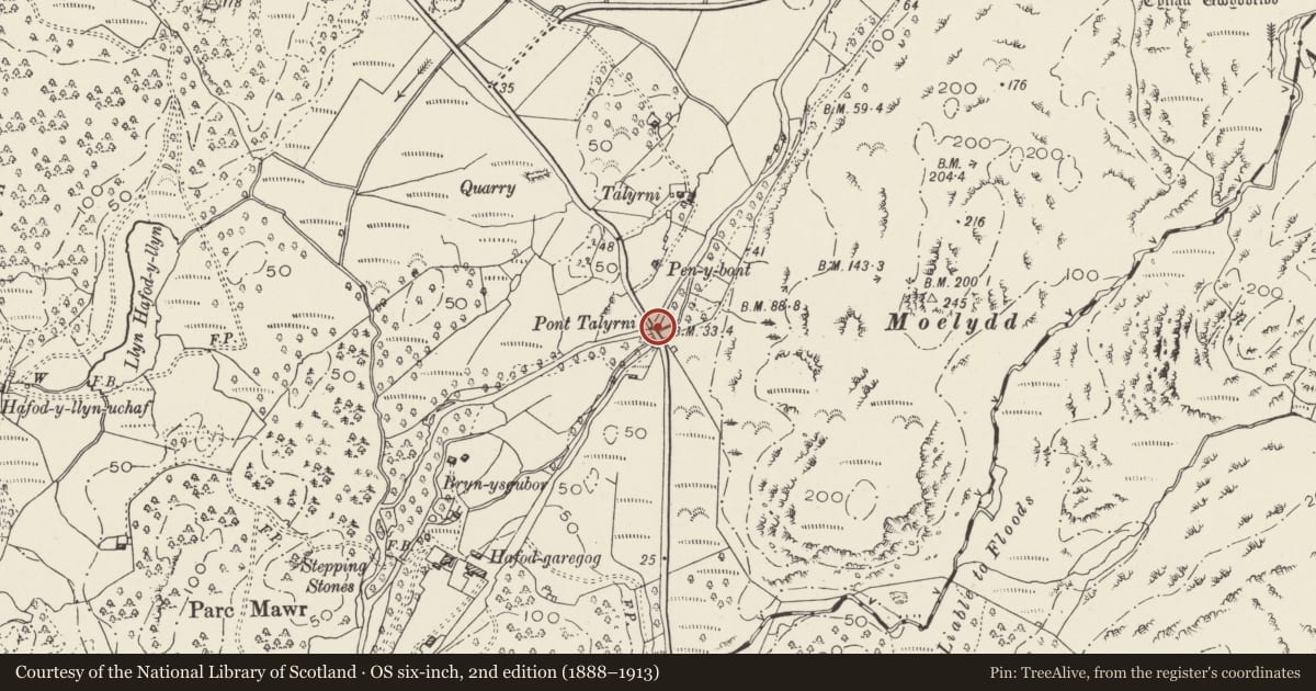 Ordnance Survey six-inch map, 2nd edition (1888–1913) covering the location of Pont Talyrni, Beddgelert, Gwynedd, with a pin at the register's coordinates