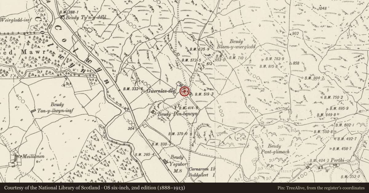 Ordnance Survey six-inch map, 2nd edition (1888–1913) covering the location of Carthouse at Wernlas-Deg, Beddgelert, Gwynedd, with a pin at the register's coordinates