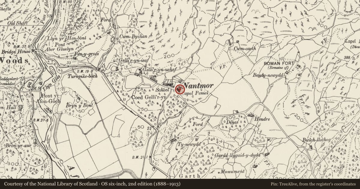 Ordnance Survey six-inch map, 2nd edition (1888–1913) covering the location of Peniel Chapel, Beddgelert, Gwynedd, with a pin at the register's coordinates