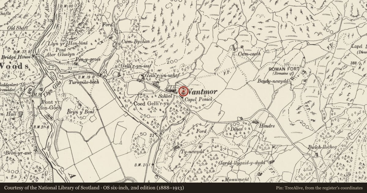 Ordnance Survey six-inch map, 2nd edition (1888–1913) covering the location of Bron-y-Graig, Beddgelert, Gwynedd, with a pin at the register's coordinates