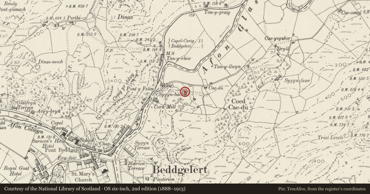 Ordnance Survey six-inch map, 2nd edition (1888–1913) covering the location of Sygyn Bach, Beddgelert, Gwynedd, with a pin at the register's coordinates