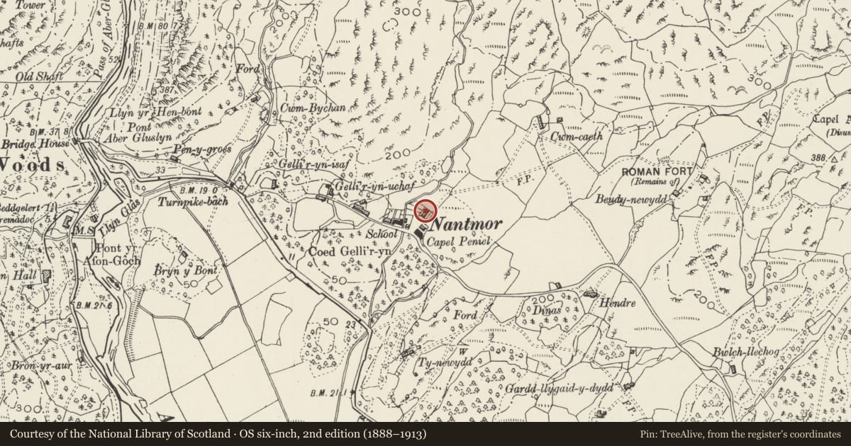Ordnance Survey six-inch map, 2nd edition (1888–1913) covering the location of Tegfryn, Beddgelert, Gwynedd, with a pin at the register's coordinates