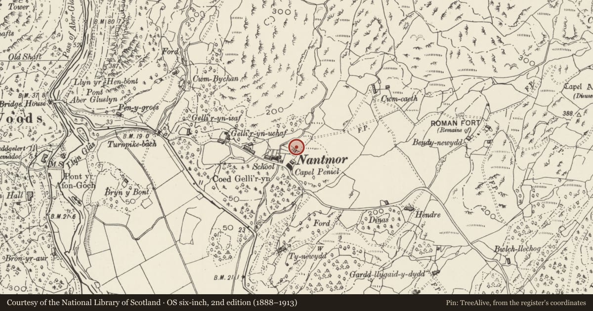 Ordnance Survey six-inch map, 2nd edition (1888–1913) covering the location of Y Bwthyn, Beddgelert, Gwynedd, with a pin at the register's coordinates