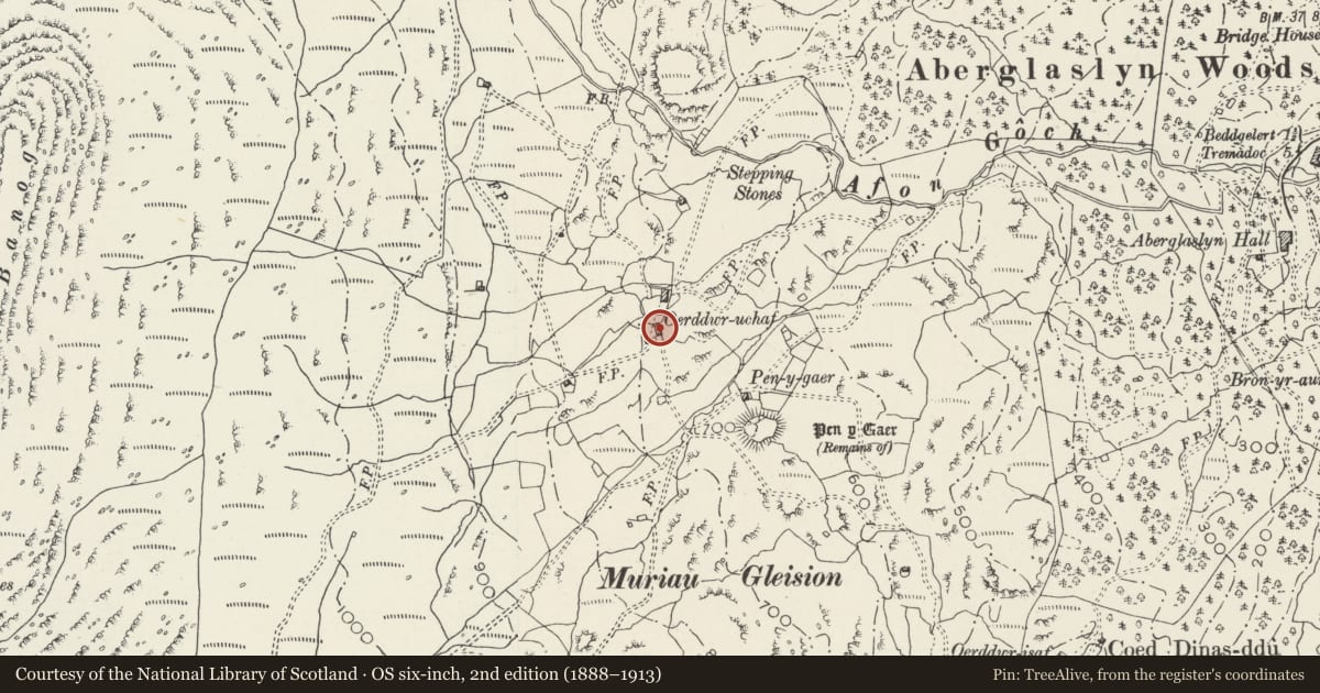 Ordnance Survey six-inch map, 2nd edition (1888–1913) covering the location of Oerddwr-Uchaf, Beddgelert, Gwynedd, with a pin at the register's coordinates