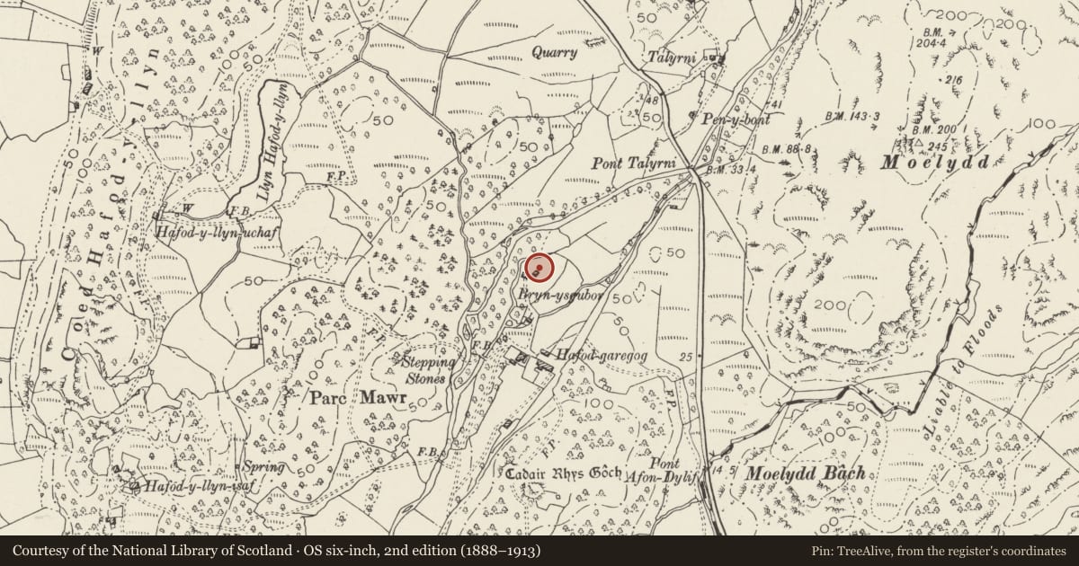 Ordnance Survey six-inch map, 2nd edition (1888–1913) covering the location of Barn N of Hafod Garegog, Beddgelert, Gwynedd, with a pin at the register's coordinates