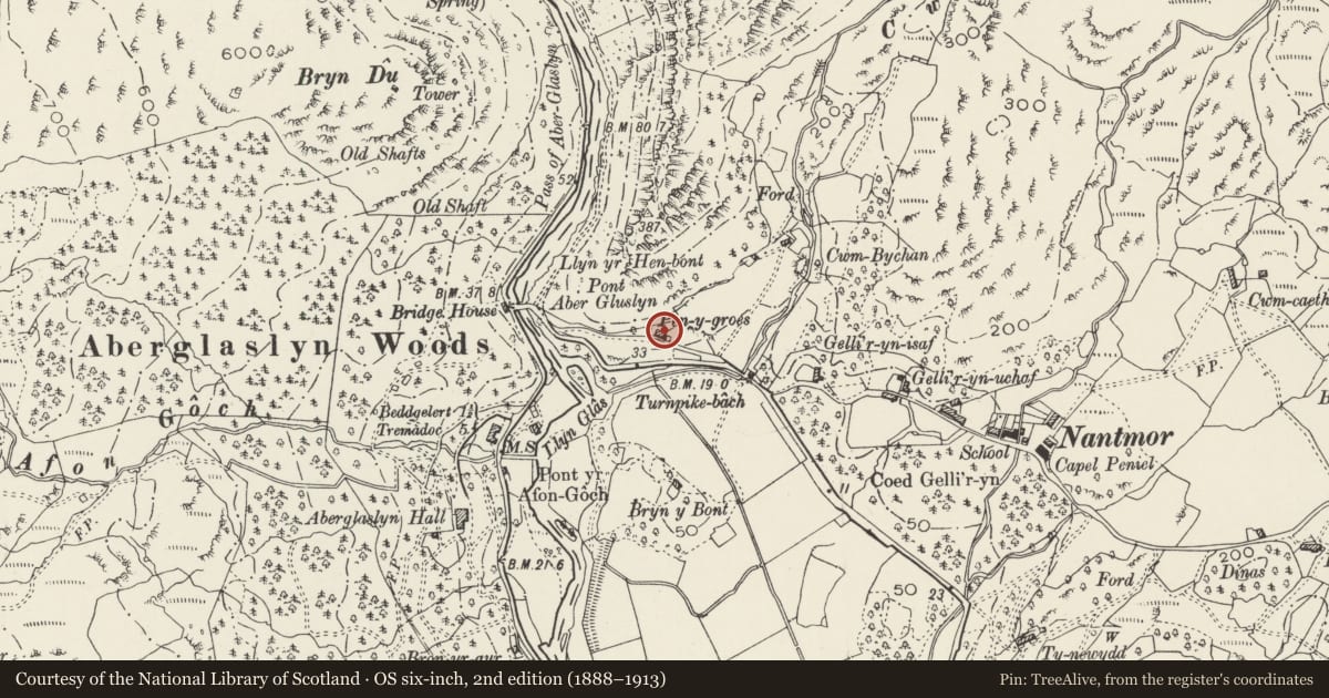Ordnance Survey six-inch map, 2nd edition (1888–1913) covering the location of Pen-y-Groes, Beddgelert, Gwynedd, with a pin at the register's coordinates