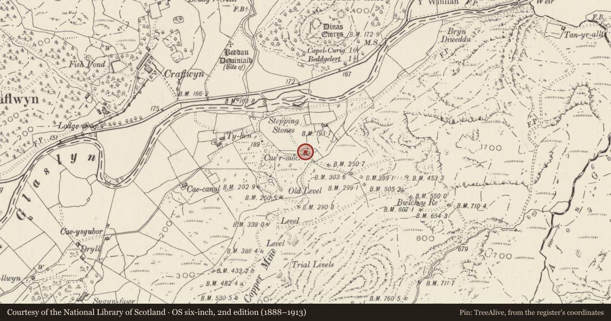 Ordnance Survey six-inch map, 2nd edition (1888–1913) covering the location of Former Domestic Range at Sygun Copper Mine, Beddgelert, Gwynedd, with a pin at the register's coordinates