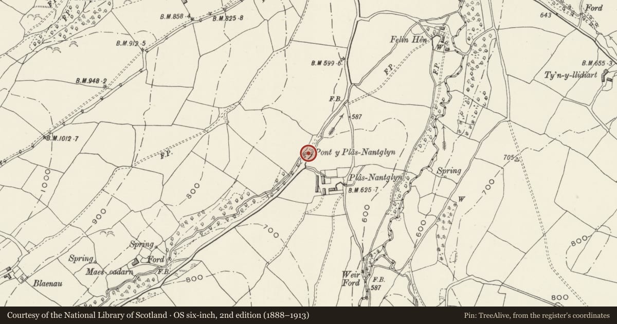 Ordnance Survey six-inch map, 2nd edition (1888–1913) covering the location of Pont Nantglyn, Denbighshire, with a pin at the register's coordinates