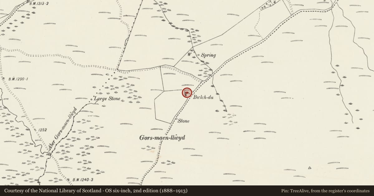 Ordnance Survey six-inch map, 2nd edition (1888–1913) covering the location of Bwlch-du, Nantglyn, Denbighshire, with a pin at the register's coordinates