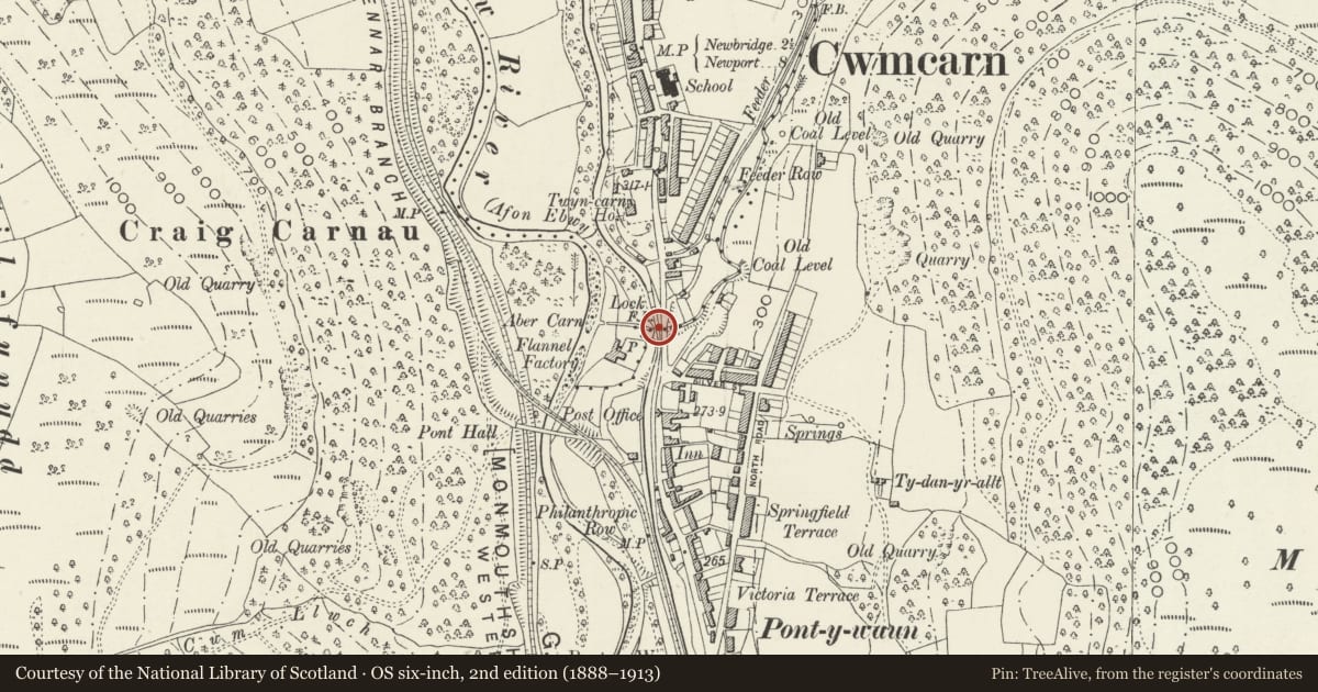 Ordnance Survey six-inch map, 2nd edition (1888–1913) covering the location of Abercarn Aqueduct and bridge (partly in Crosskeys Community), Caerphilly, with a pin at the register's coordinates