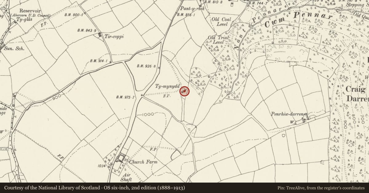 Ordnance Survey six-inch map, 2nd edition (1888–1913) covering the location of Ty Mynydd, Abercarn, Caerphilly, with a pin at the register's coordinates