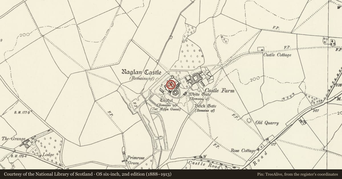 Ordnance Survey six-inch map, 2nd edition (1888–1913) covering the location of Raglan Castle, Monmouthshire, with a pin at the register's coordinates