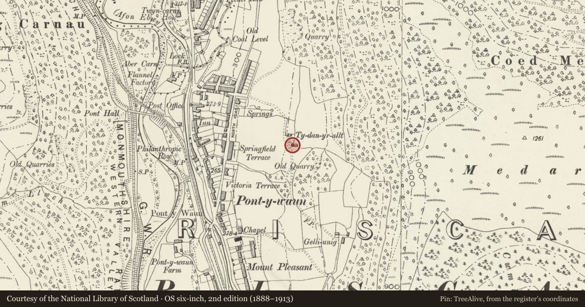 Ordnance Survey six-inch map, 2nd edition (1888–1913) covering the location of Homestead, Crosskeys, Caerphilly, with a pin at the register's coordinates