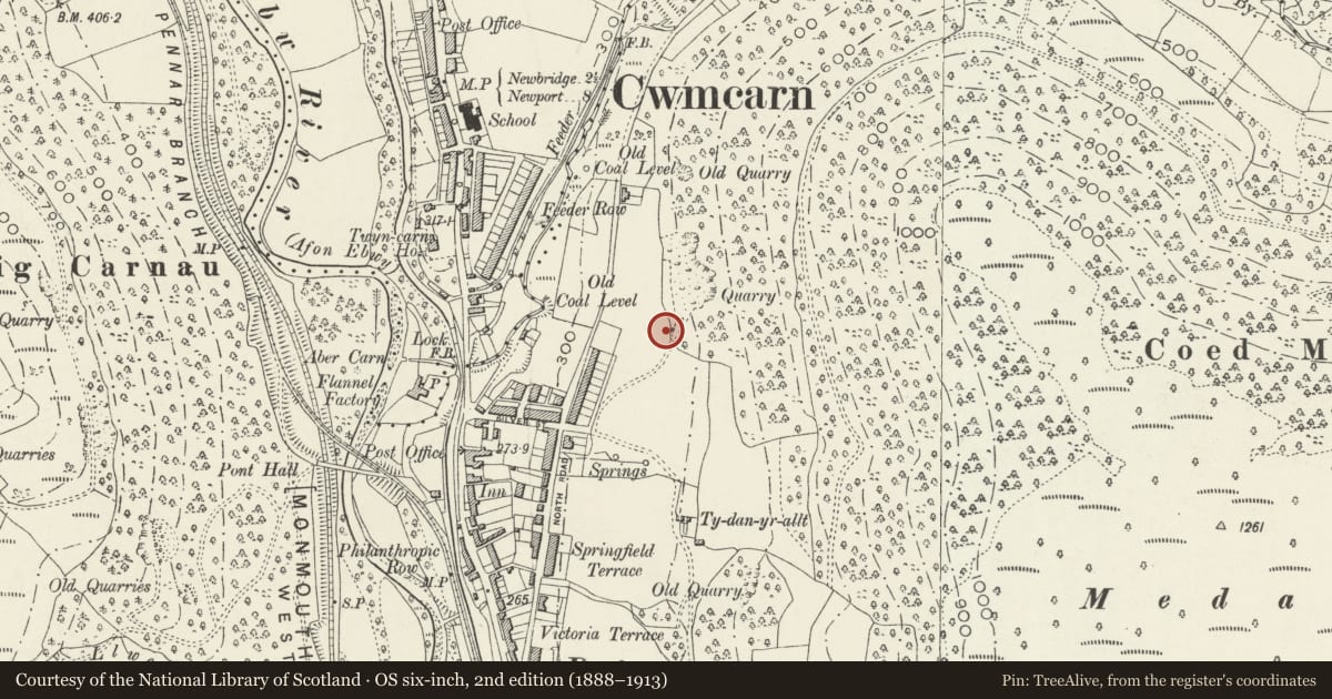 Ordnance Survey six-inch map, 2nd edition (1888–1913) covering the location of 1 Garden Suburbs, Crosskeys, Caerphilly, with a pin at the register's coordinates