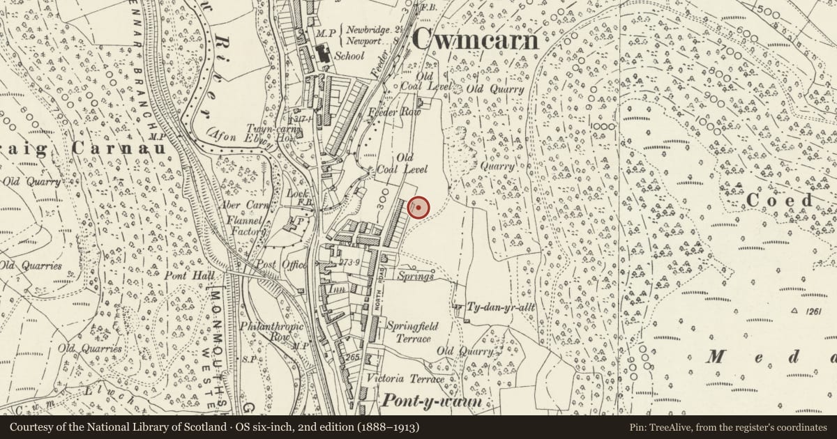 Ordnance Survey six-inch map, 2nd edition (1888–1913) covering the location of 21 Garden Suburbs, Crosskeys, Caerphilly, with a pin at the register's coordinates