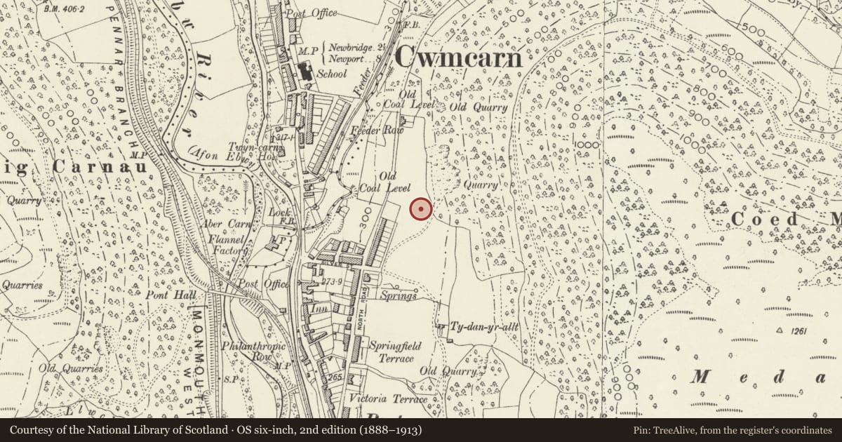 Ordnance Survey six-inch map, 2nd edition (1888–1913) covering the location of 7 Garden Suburbs, Crosskeys, Caerphilly, with a pin at the register's coordinates