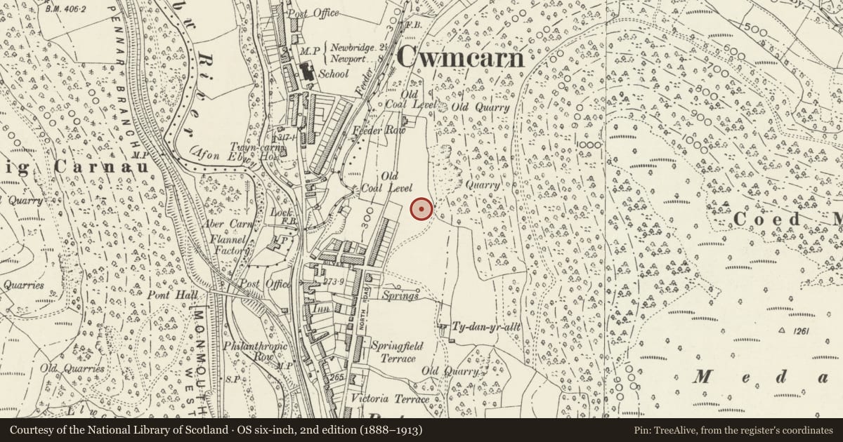 Ordnance Survey six-inch map, 2nd edition (1888–1913) covering the location of 9 Garden Suburbs, Crosskeys, Caerphilly, with a pin at the register's coordinates