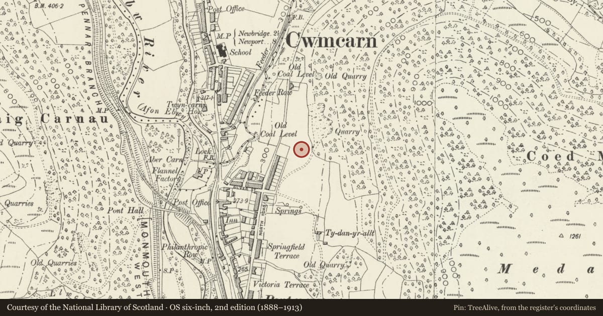 Ordnance Survey six-inch map, 2nd edition (1888–1913) covering the location of 11 Garden Suburbs, Crosskeys, Caerphilly, with a pin at the register's coordinates